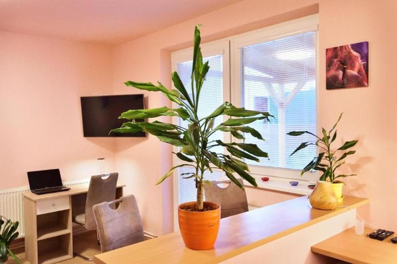 Hotel Nika Beds Pardubice Zewnętrze zdjęcie